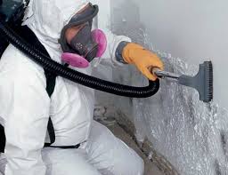 Reliable Albany, GA Mold Inspection Solutions